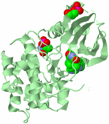 Image Biological Unit 2