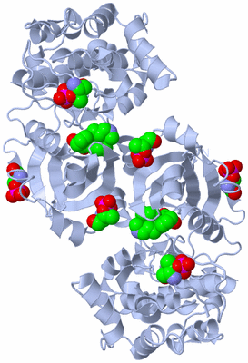 Image Biological Unit 3