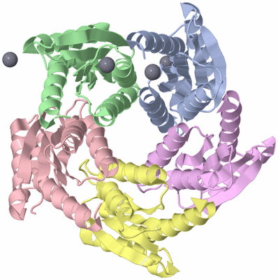 Image Asym./Biol. Unit