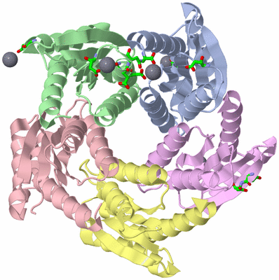 Image Asym./Biol. Unit - sites