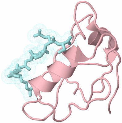 Image Biological Unit 3