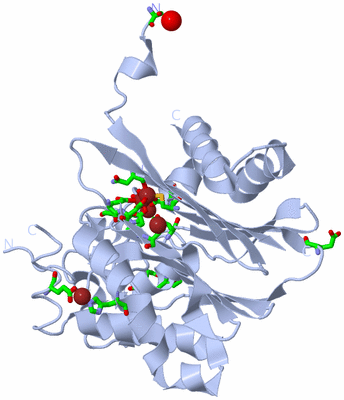 Image Biol. Unit 1 - sites