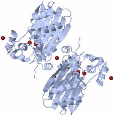 Image Biological Unit 2