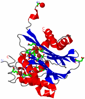 Image Asym. Unit - sites