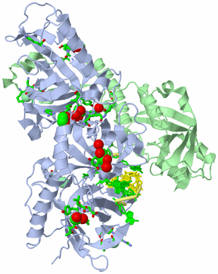 Image Asym./Biol. Unit - sites