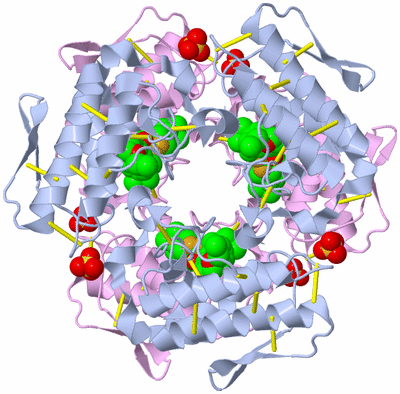 Image Biological Unit 1