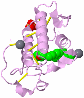 Image Biological Unit 3