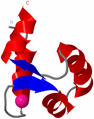 Image NMR Structure - model 1