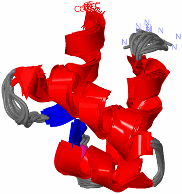 Image NMR Structure - all models