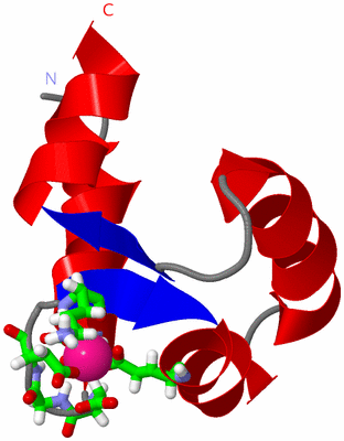 Image NMR Structure - model 1, sites