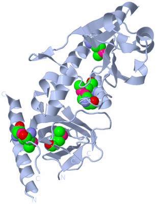 Image Biological Unit 1