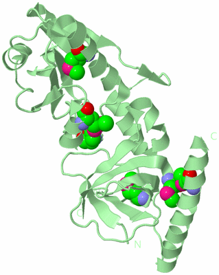 Image Biological Unit 2