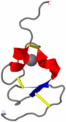 Image NMR Structure - model 1