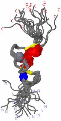 Image NMR Structure - all models