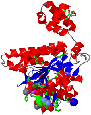 Image Asym./Biol. Unit - sites