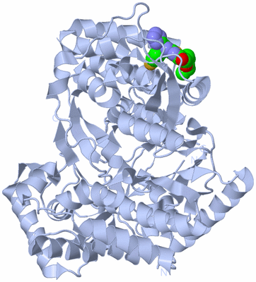 Image Biological Unit 1