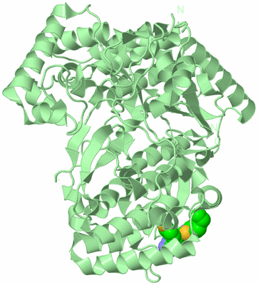 Image Biological Unit 2