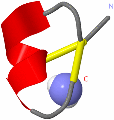 Image NMR Structure - model 1