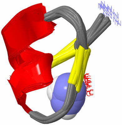 Image NMR Structure - all models