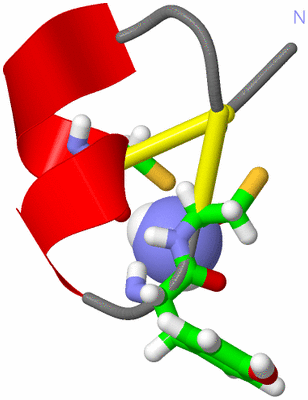 Image NMR Structure - model 1, sites