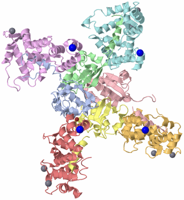 Image Biological Unit 1