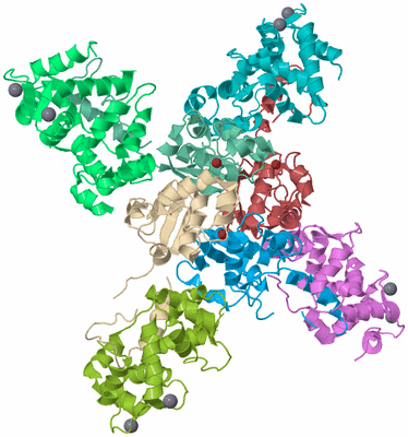 Image Biological Unit 2