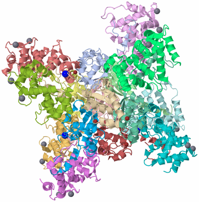 Image Biological Unit 3