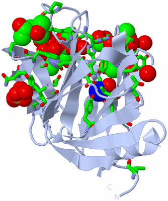 Image Biol. Unit 1 - sites