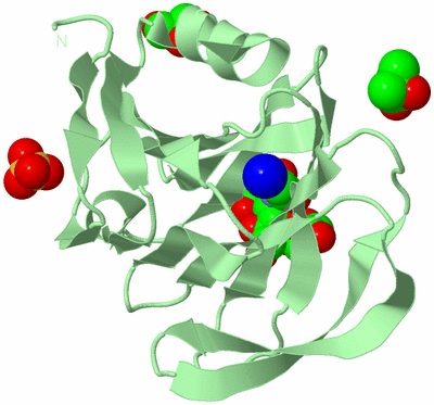 Image Biological Unit 2