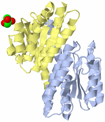 Image Biological Unit 1