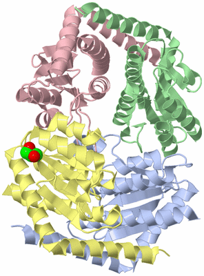 Image Biological Unit 3