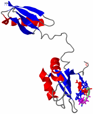 Image NMR Structure - model 1