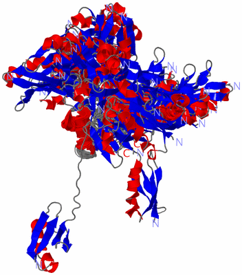 Image NMR Structure - all models