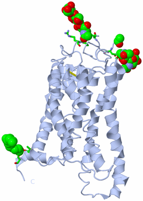 Image Biol. Unit 1 - sites