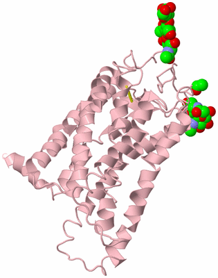 Image Biological Unit 3