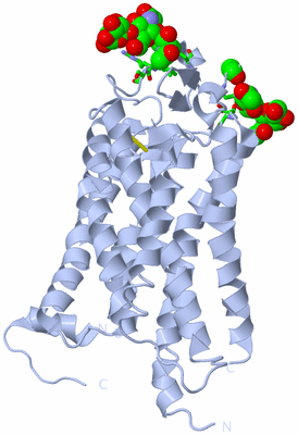 Image Biol. Unit 1 - sites