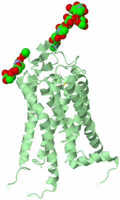 Image Biological Unit 2