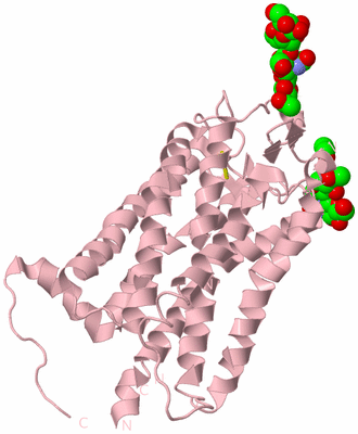 Image Biological Unit 3