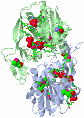 Image Asym./Biol. Unit - sites