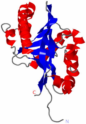 Image NMR Structure - model 1