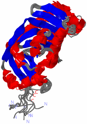 Image NMR Structure - all models