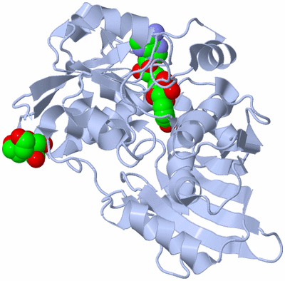 Image Biological Unit 1