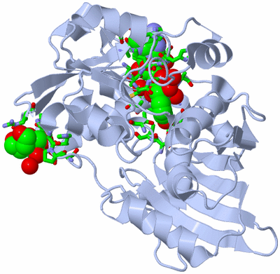 Image Biol. Unit 1 - sites