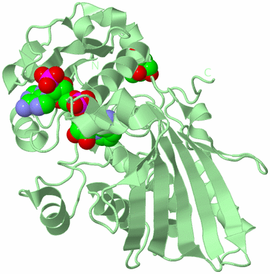 Image Biological Unit 2