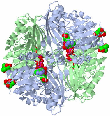 Image Biological Unit 3