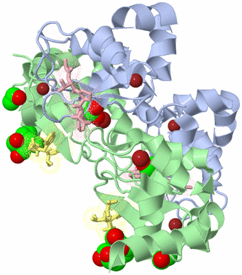 Image Biological Unit 3