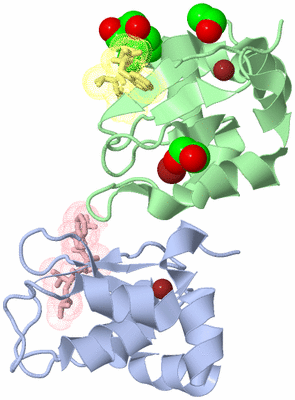 Image Biological Unit 4