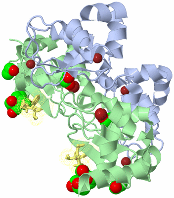 Image Biological Unit 5