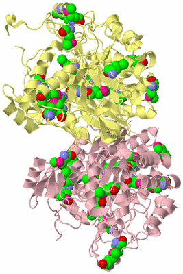 Image Biological Unit 2