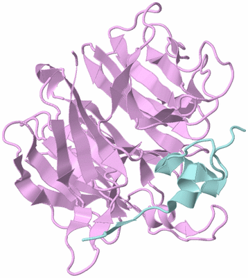 Image Biological Unit 3